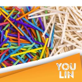 Cactus Pine Wood Stick Hobby Craft