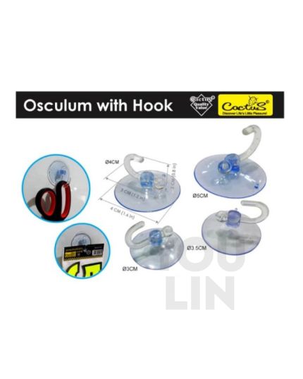 Cactus 1923 Osculum With Hook