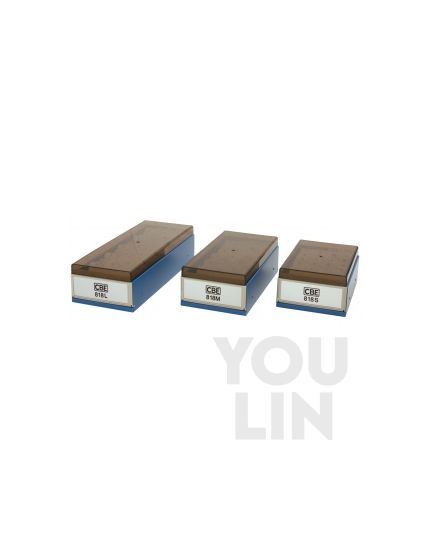 CBE 818L Business Card Organizer
