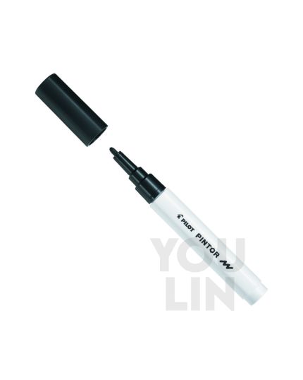 PILOT Sw-Pt-M Pintor Marker (Pigment Ink) F.Pen