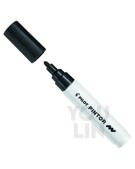 PILOT Sw-Pt-M Pintor Marker (Pigment Ink) M Pen