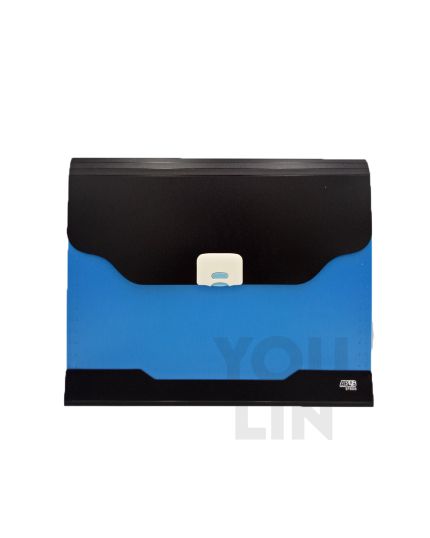 APLUS EF8805 A4 12'S Expanding File