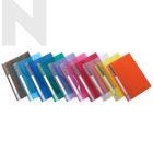 CBE 805A A4 PP Management File