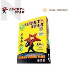 Luckystar CS295 A4 80gm Color Paper 450'S - Dark Mix