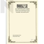 APLUS A4 160GM CERTIFICATE CARD 100'S/PKT - AP10