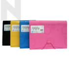CBE F4316 A4 13 Pocket Expanding File