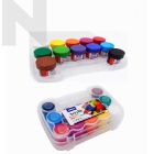 Dolphin DOL-AC616 Acrylic Color 20ML 12 Color