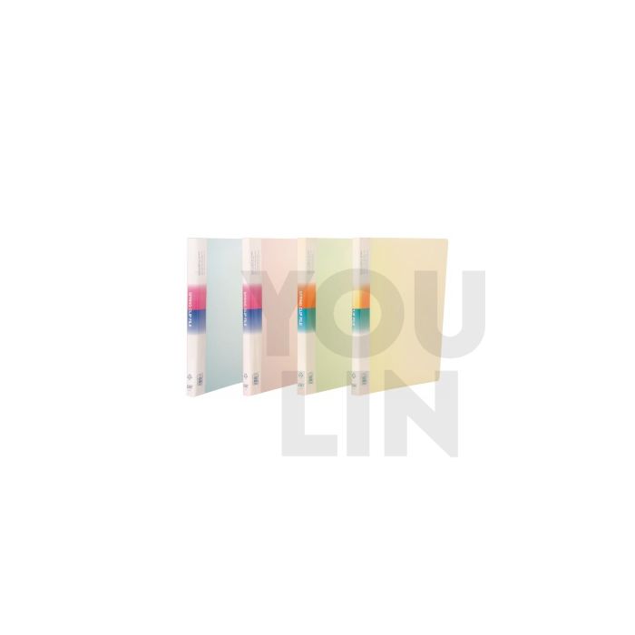 CBE 1613 A4 PP Spring File