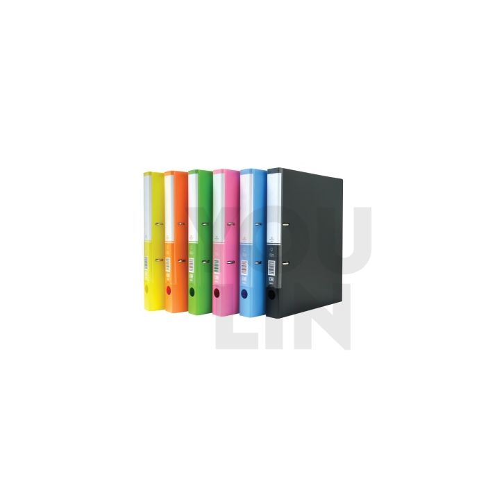 CBE 2D623 A4 2D PP Ring File