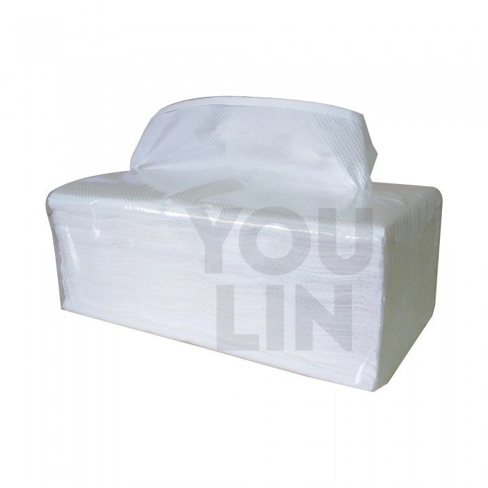 MULTI PURPOSE TOWEL TISSUE - 2 PLY ( 195MM X 210MM )