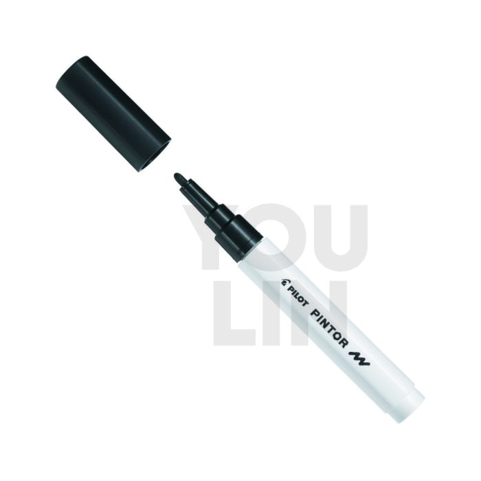 PILOT Sw-Pt-M Pintor Marker (Pigment Ink) F.Pen