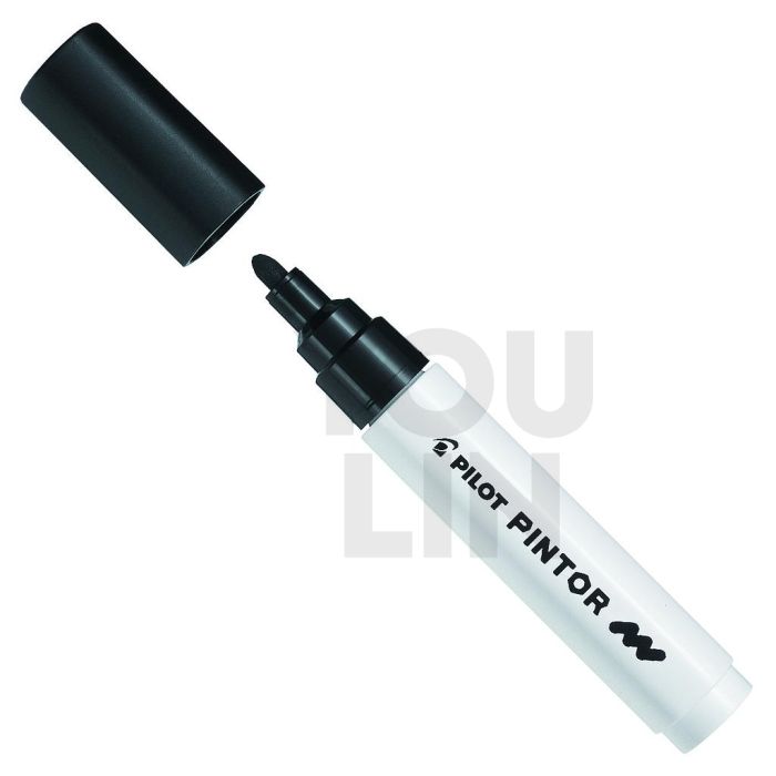 PILOT Sw-Pt-M Pintor Marker (Pigment Ink) M Pen