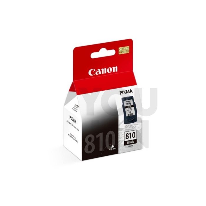 Canon PG-810 Black Ink Cartridge