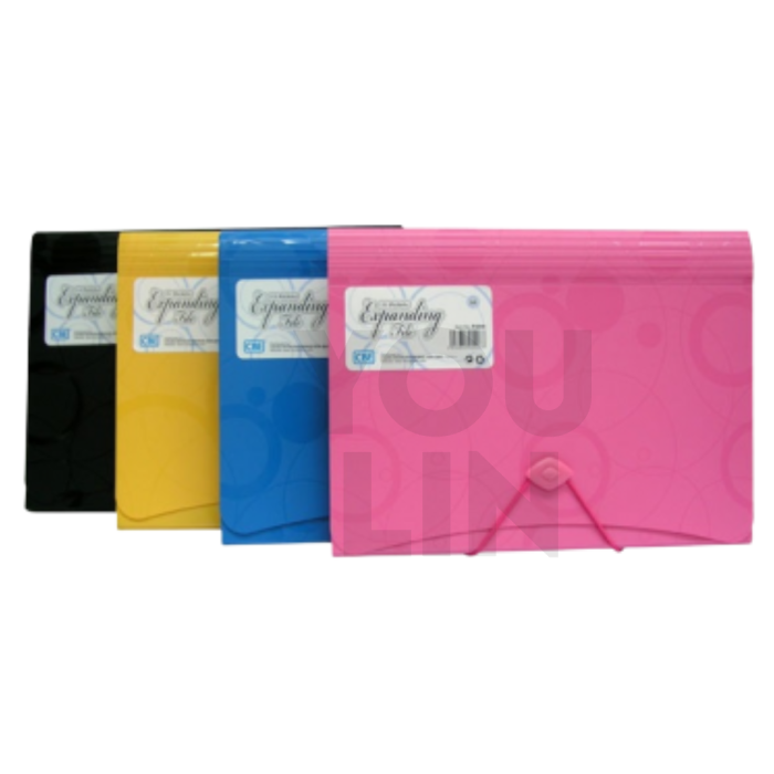 CBE F4316 A4 13 Pocket Expanding File