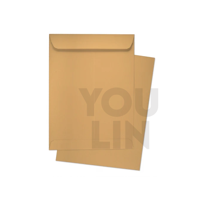 Brown Envelope A4 9' X 12 3/4' 250'S/box